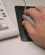 View Programs Online